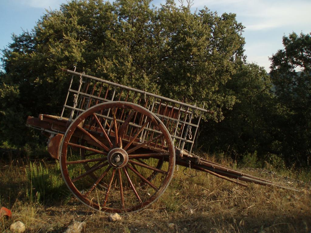 Masia De La Serra De La Cogulla Peñarroya de Tastavins Zewnętrze zdjęcie