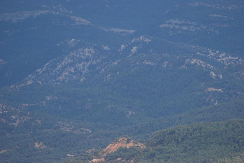 Masia De La Serra De La Cogulla Peñarroya de Tastavins Zewnętrze zdjęcie