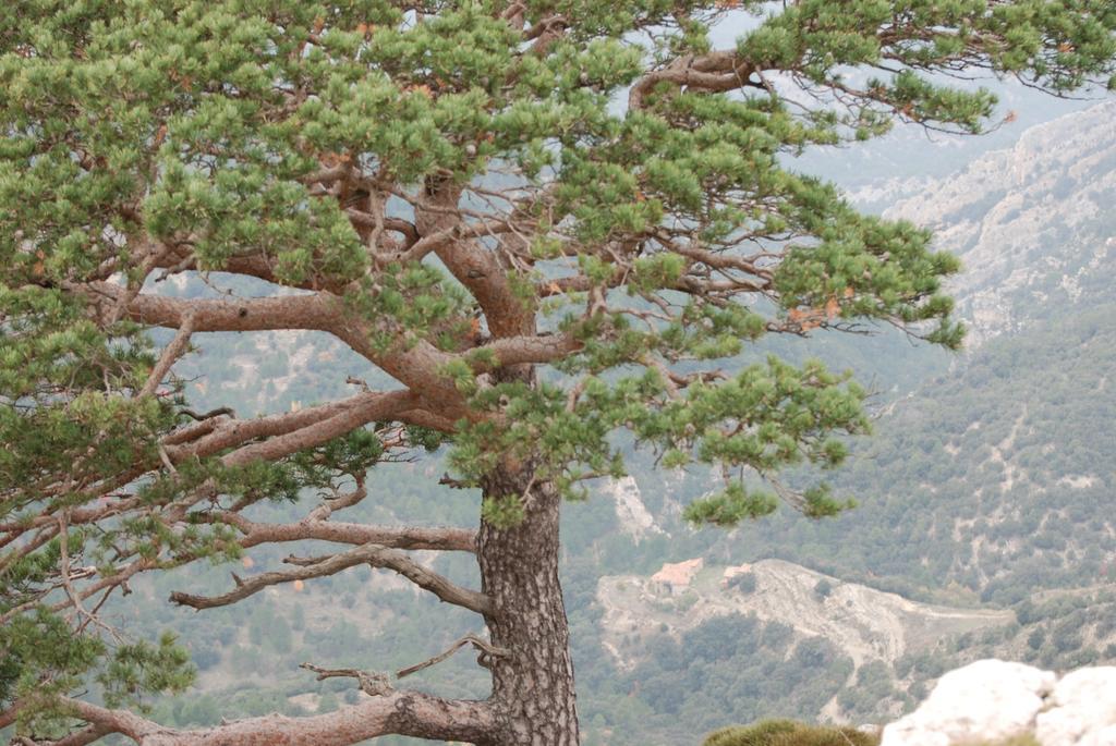 Masia De La Serra De La Cogulla Peñarroya de Tastavins Zewnętrze zdjęcie